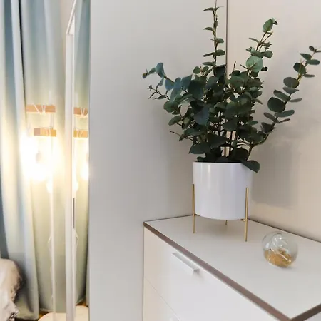 M&k Moc Natury Sobieszewo - Wyspa Sobieszewska * Gdańsk