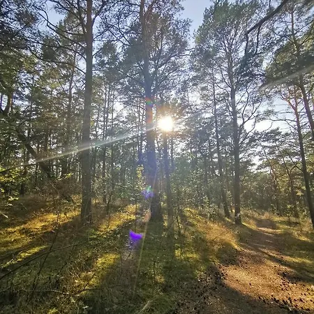 M&k Moc Natury Sobieszewo - Wyspa Sobieszewska Appartement Gdańsk