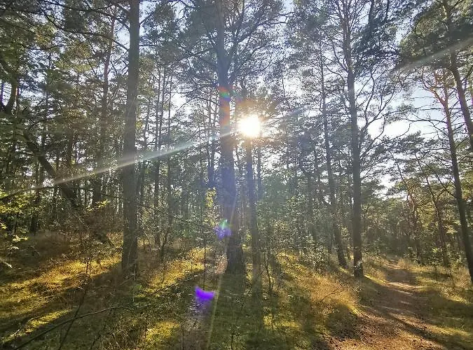 M&k Moc Natury Sobieszewo - Wyspa Sobieszewska 公寓 格但斯克